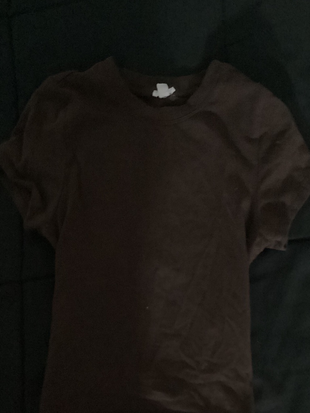 Garage Tight Brown Tee